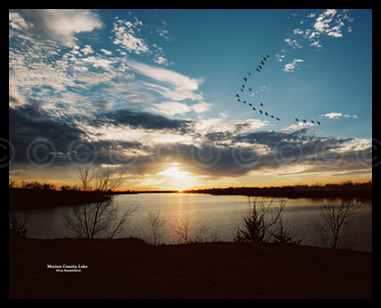 Geese over Marion County Lake